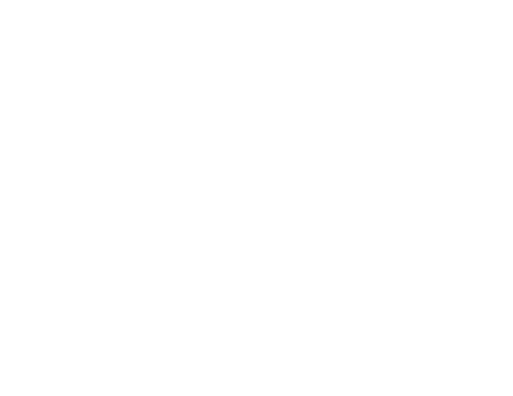 Logo DIMM